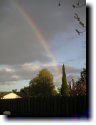 [ rainbowT.jpg ]